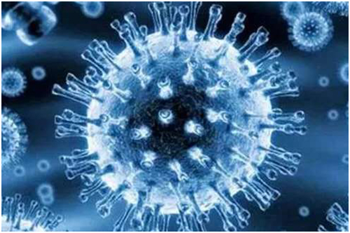 南非顶尖艾滋病专家因新冠去世_专家称新冠疫情阻止了流感传播_专家：新冠后遗症绝大多数是短暂的