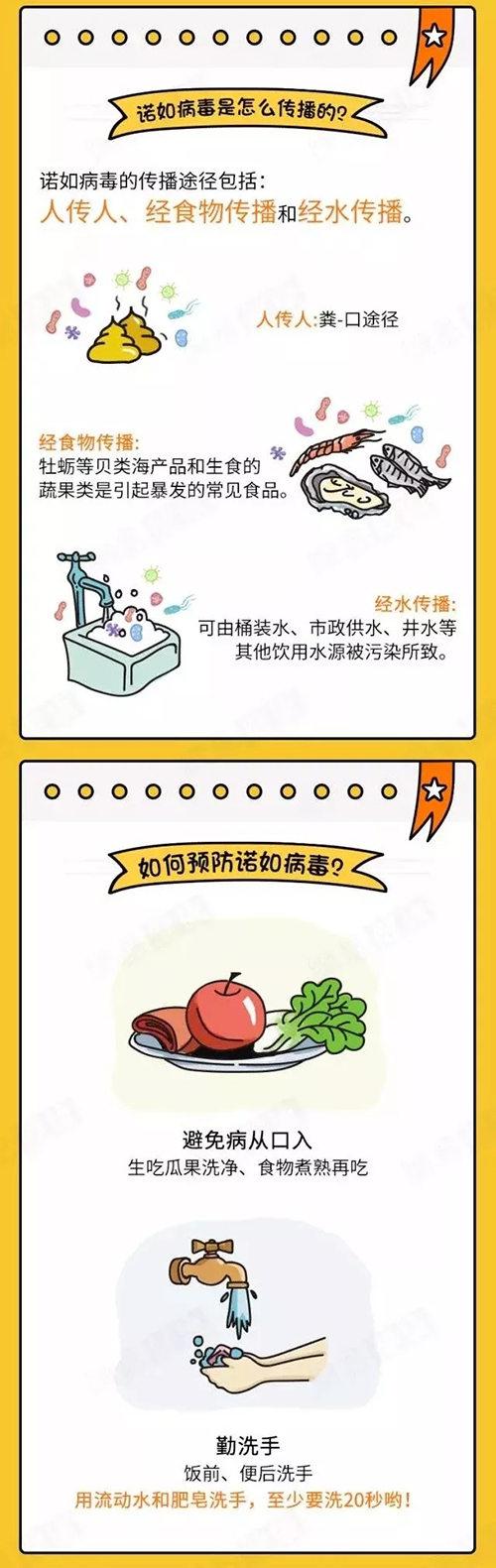 05.webp.jpg
