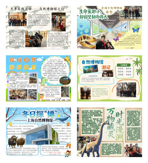 1769741135449425.jpg 2-3.jpg