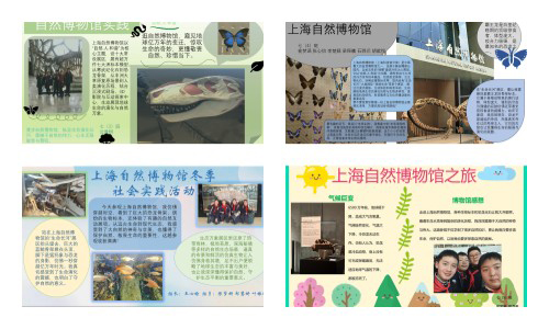 1769741203312530.jpg 3.jpg